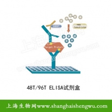 艾杜糖硫酸酯酶(IDS)ELISA试剂盒   48T 96T 包邮