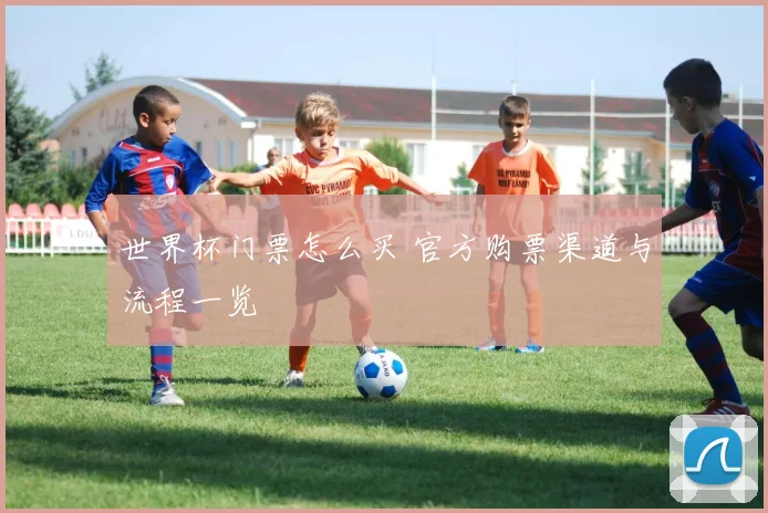 世界杯门票怎么买 官方购票渠道与流程一览