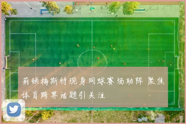 莉顿梅斯特现身网球赛场助阵 聚焦体育跨界话题引关注