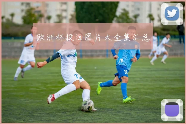 欧洲杯投注图片大全集汇总