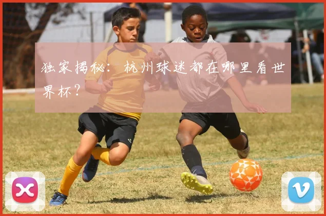 独家揭秘：杭州球迷都在哪里看世界杯？