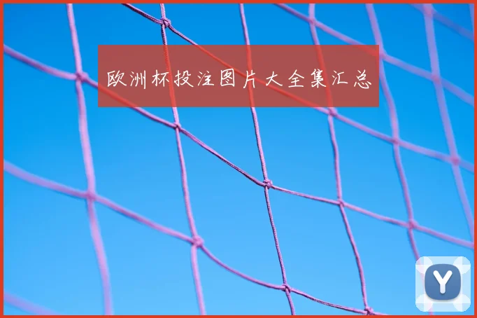 欧洲杯投注图片大全集汇总