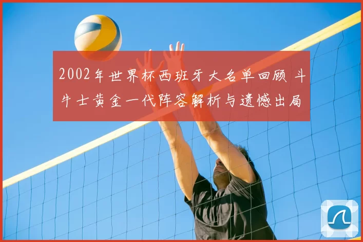 2002年世界杯西班牙大名单回顾 斗牛士黄金一代阵容解析与遗憾出局