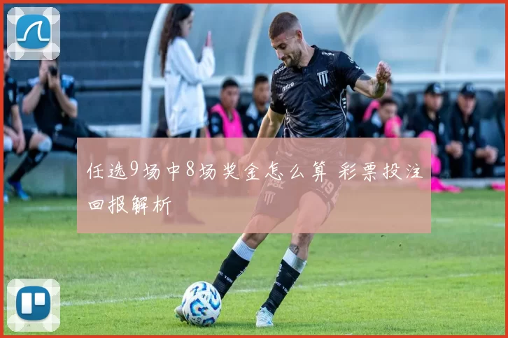 任选9场中8场奖金怎么算 彩票投注回报解析