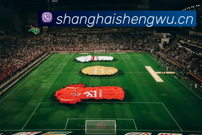 世界杯app官网APP 封面图