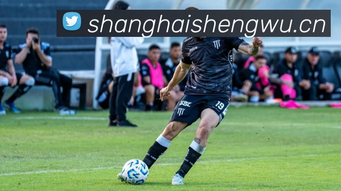 开云(中国)Kaiyun·官方网站 - 科技股份有限公司全站App